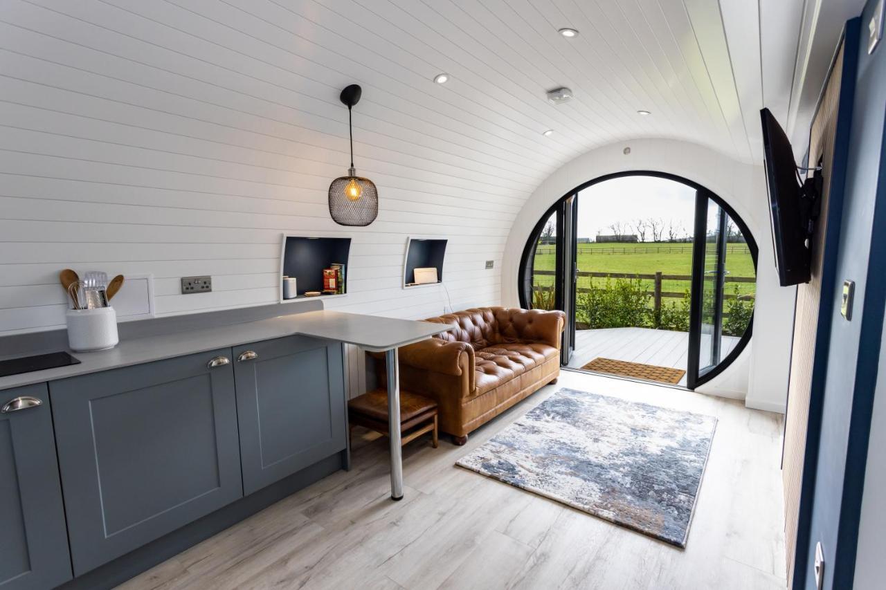 The Lodge @Quarrywood Tenby Exteriér fotografie